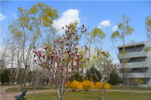 宝鸡市体育运动学校是公办还是民办院校 宝鸡市体育运动学校是公办还是民办院校