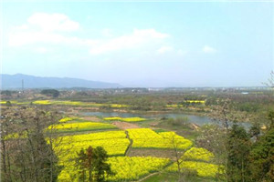 贵州经贸学校网站首页 贵州经贸学校网站首页