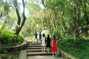 玉溪市特殊教育学校是公办还是民办院校