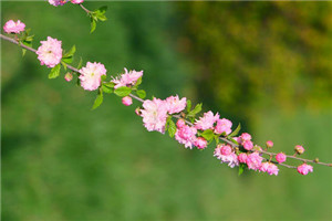瓮安县中等职业学校|瓮安职校是公办还是民办院校 瓮安县中等职业学校|瓮安职校是公办还是民办院校