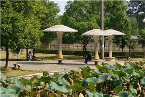 南充通信运输职业学校是公办还是民办院校 南充通信运输职业学校是公办还是民办院校