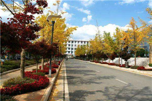 四川幼儿师范高等专科学校(江油幼师学校)是公办还是民办院校 四川幼儿师范高等专科学校(江油幼师学校)是公办还是民办院校