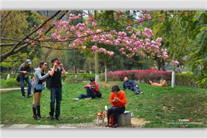 从江县职业技术学校（从江职校）是公办还是民办院校