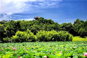 昆明工业职业技术学院中职部是公办还是民办院校