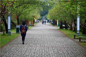 白水县职业中专是公办还是民办院校 白水县职业中专是公办还是民办院校