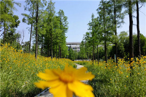 陕西省石油化工学校是公办还是民办院校 陕西省石油化工学校是公办还是民办院校