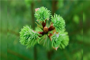 贵阳幼儿师范学校|贵阳幼儿师范高等专科学校|贵阳幼师学校是公办还是民办院校 贵阳幼儿师范学校|贵阳幼儿师范高等专科学校|贵阳幼师学校是公办还是民办院校