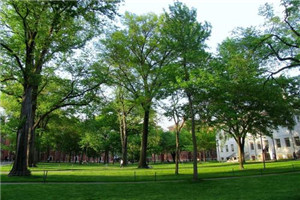 金沙县中等职业学校是公办还是民办院校