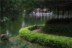 杨凌中等职业学校是公办还是民办院校