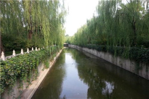 丹寨县民族职业技术学校网站首页