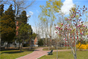 简阳市育英文武职业技术学校是公办还是民办院校