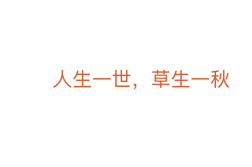 人生一世,草生一秋