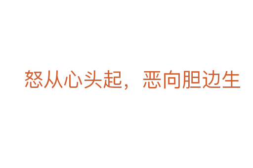 怒从心头起,恶向胆边生