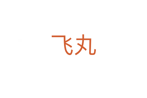 飞丸