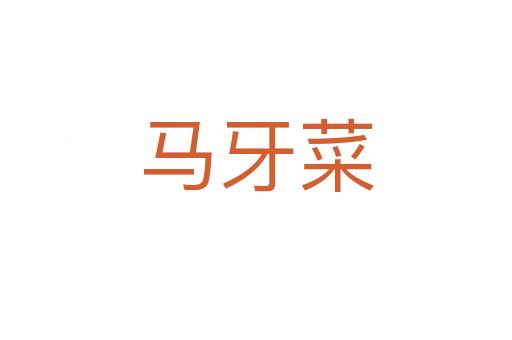 马牙菜