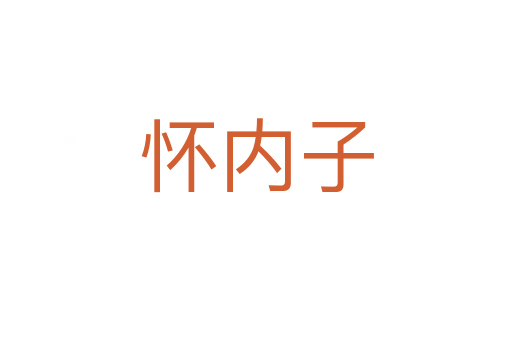 怀内子