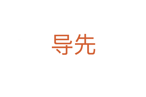 导先