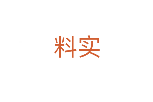 料实