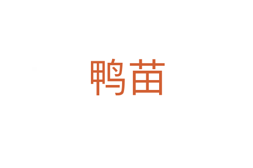 鸭苗
