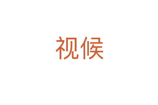 视候