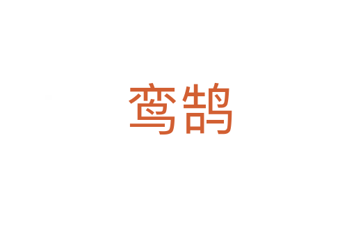 鸾鹄