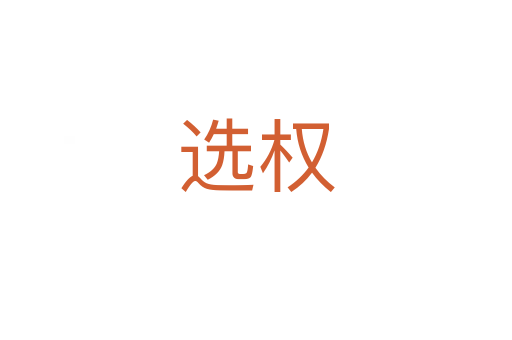 选权
