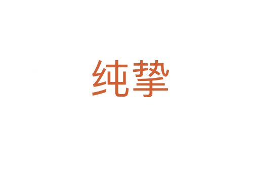 纯挚