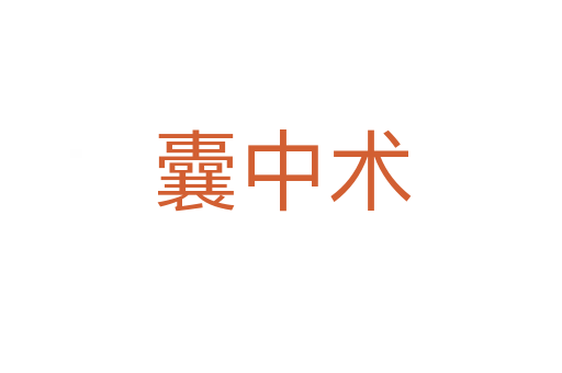 囊中术
