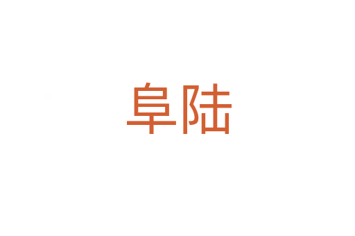 阜陆