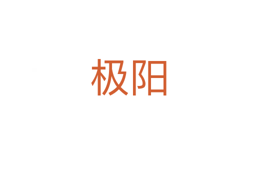 极阳