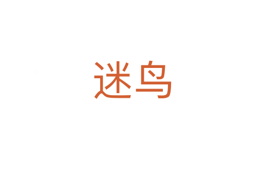 迷鸟