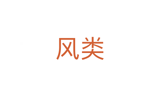 风类