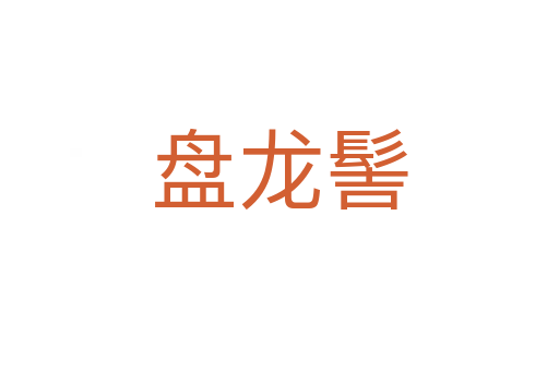 盘龙髻
