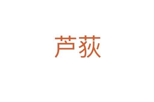 芦荻