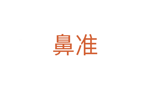 鼻准