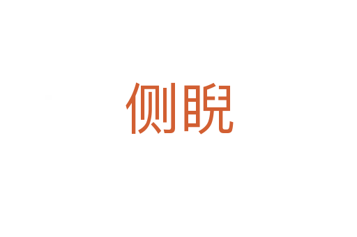 侧睨