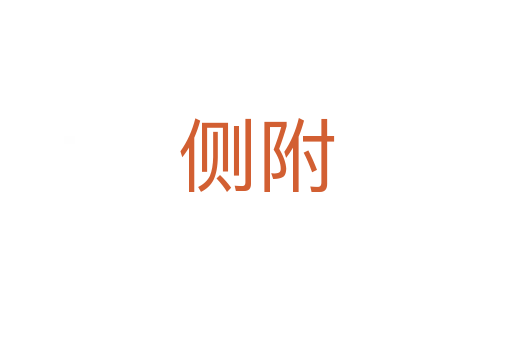 侧附