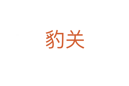 豹关
