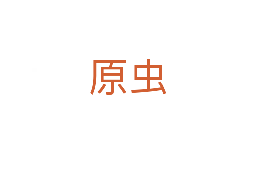 原虫