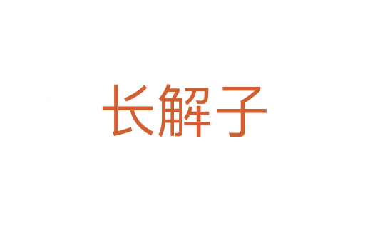 长解子