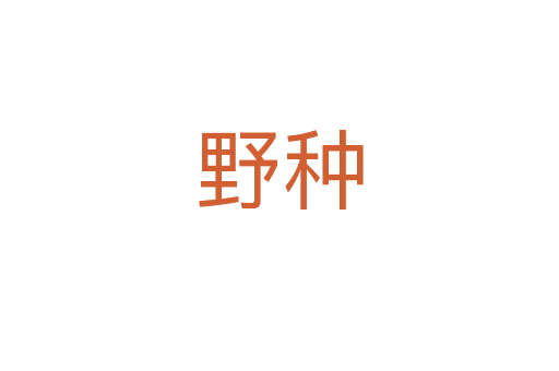 野种