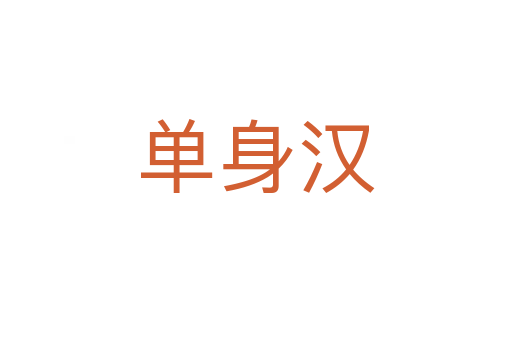 单身汉
