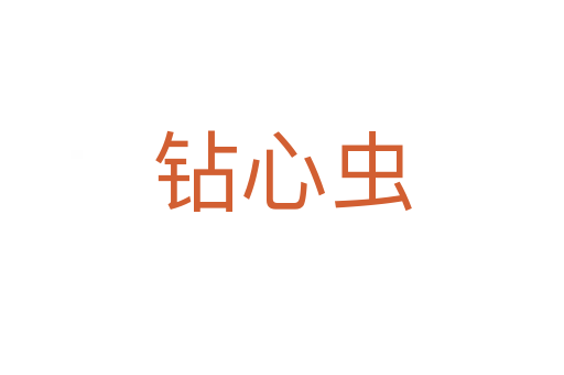 钻心虫
