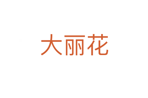 大丽花