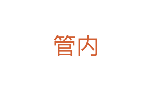 管内