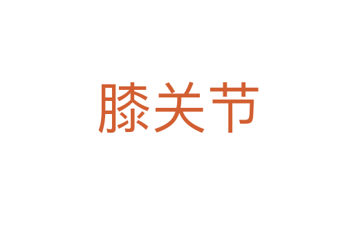 膝关节