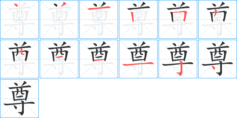 尊的笔顺分步演示