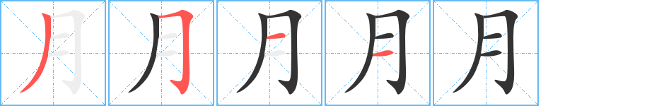 月的笔顺分步演示