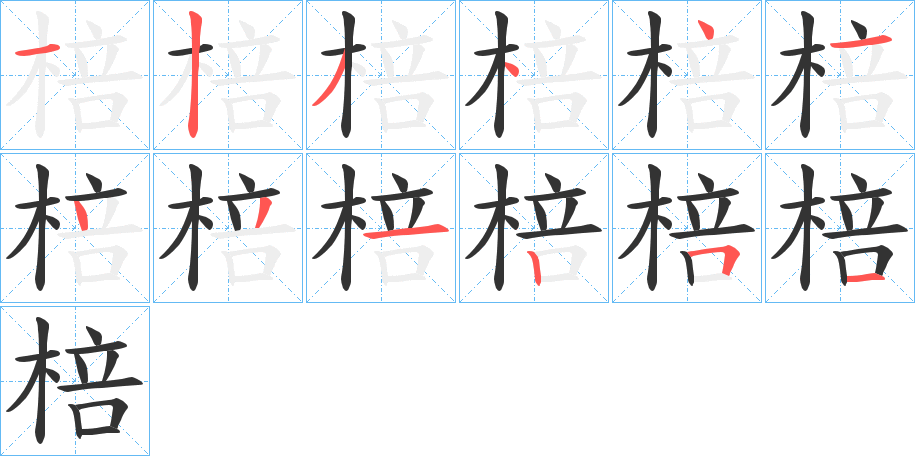 棓的笔顺分步演示