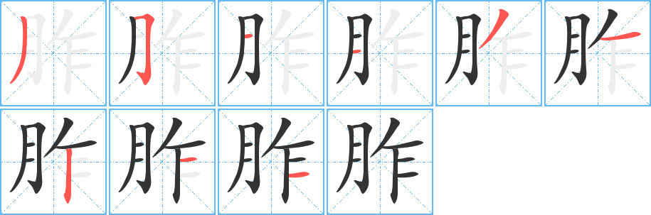 胙的笔顺分步演示